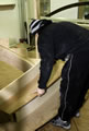 Free Standing Stair Fitting Treads