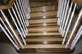 Oak Walnut Full Tread Overlay